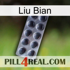 Liu Bian 30